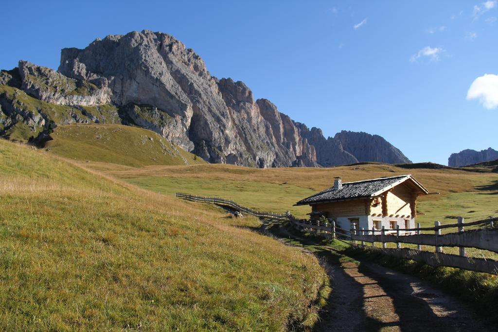Apartments Vaiolet Santa Cristina Val Gardena المظهر الخارجي الصورة