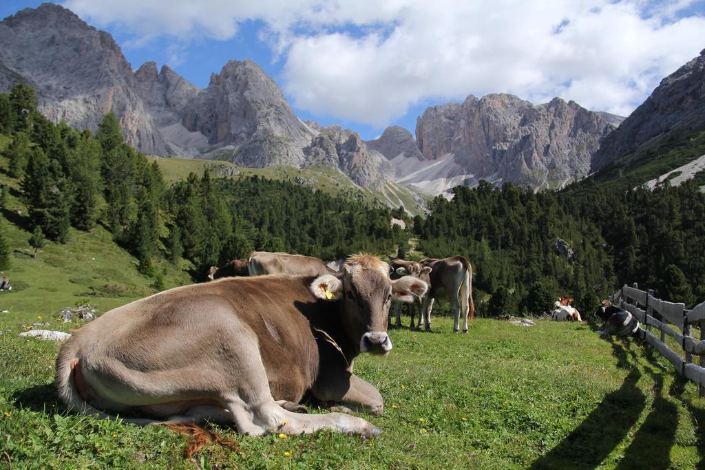 Apartments Vaiolet Santa Cristina Val Gardena المظهر الخارجي الصورة