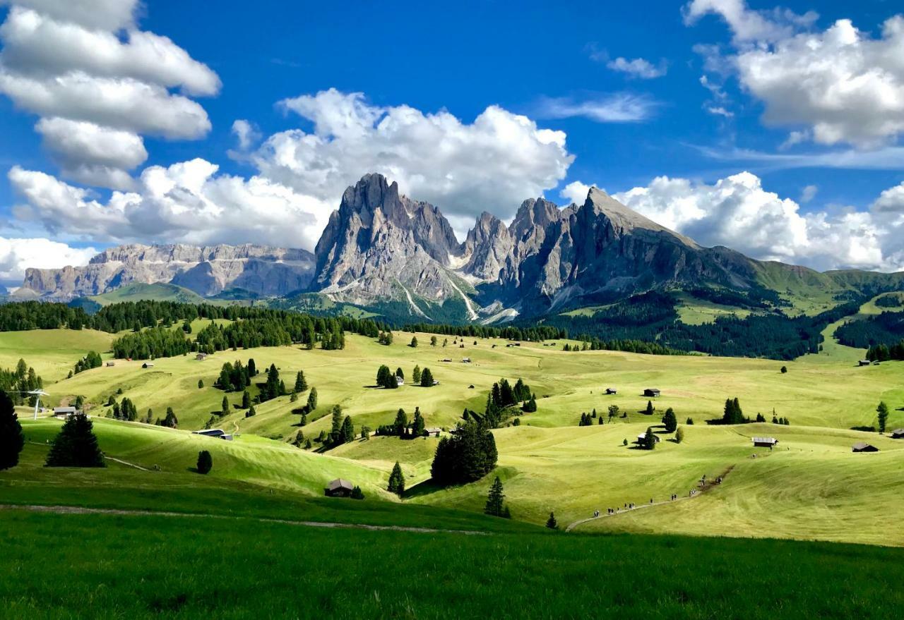 Apartments Vaiolet Santa Cristina Val Gardena المظهر الخارجي الصورة