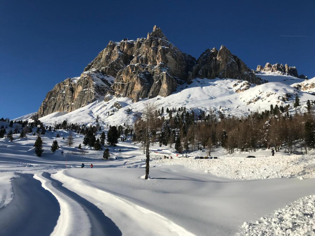 Apartments Vaiolet Santa Cristina Val Gardena المظهر الخارجي الصورة