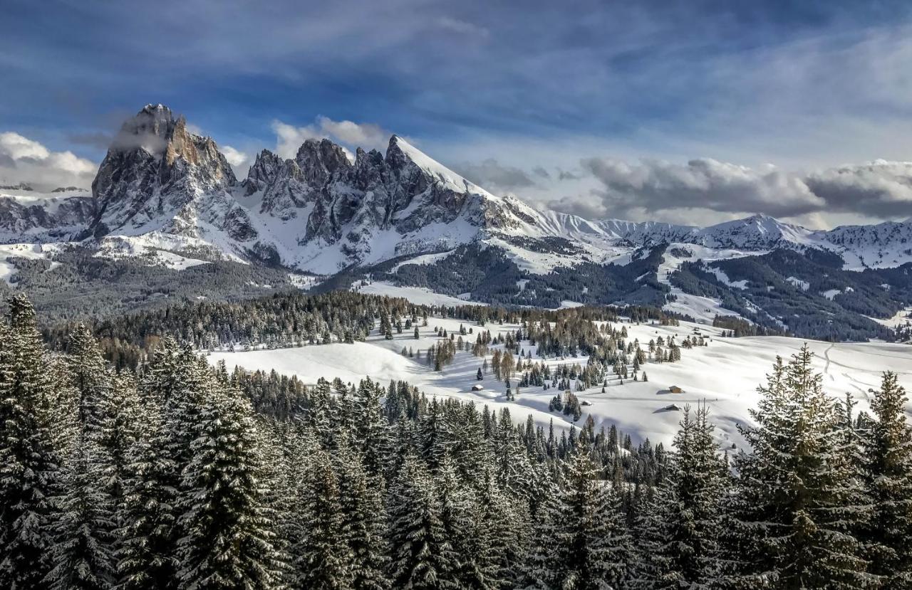 Apartments Vaiolet Santa Cristina Val Gardena المظهر الخارجي الصورة