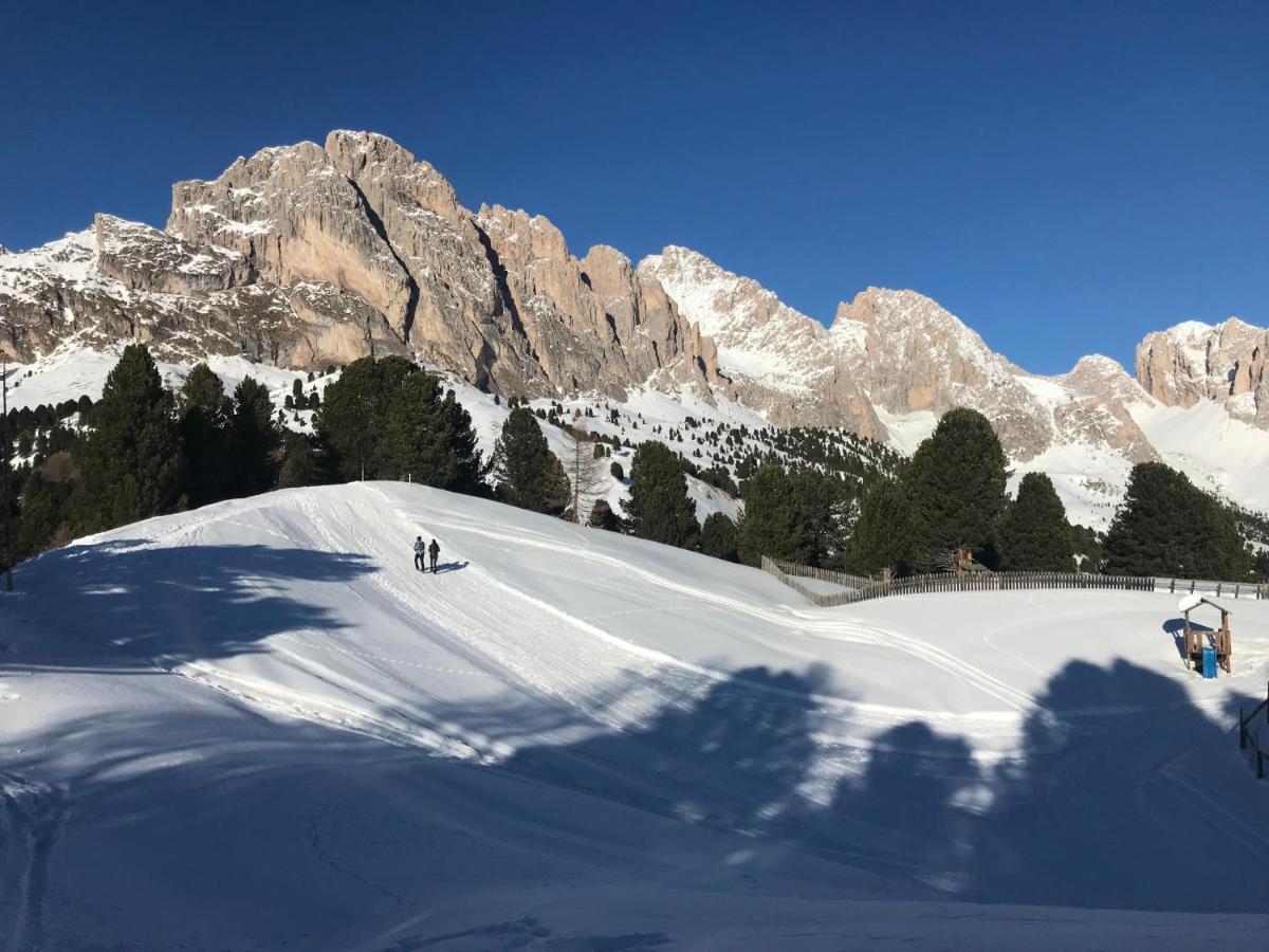 Apartments Vaiolet Santa Cristina Val Gardena المظهر الخارجي الصورة