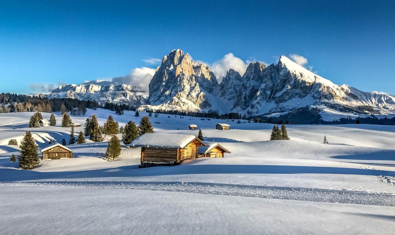 Apartments Vaiolet Santa Cristina Val Gardena المظهر الخارجي الصورة